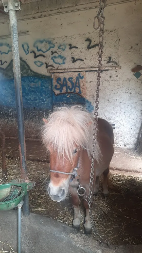 Caracciolo fabio_Fattoria Celletti_Paliano_review