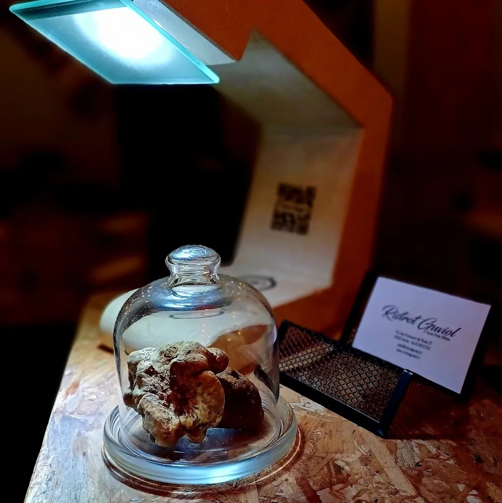 Ristrot Guviol_Osteria Nuova_slider_image_3