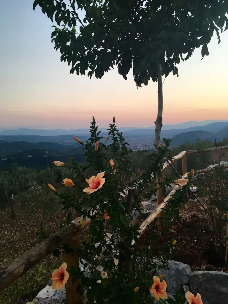 Fattoria della Ramegna_Pescosolido_slider_image_2