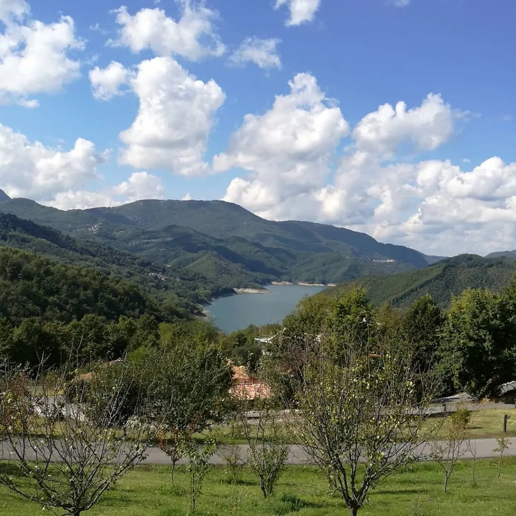 Ferrari Farm Società Agricola S.r.l._Petrella Salto_slider_image_2