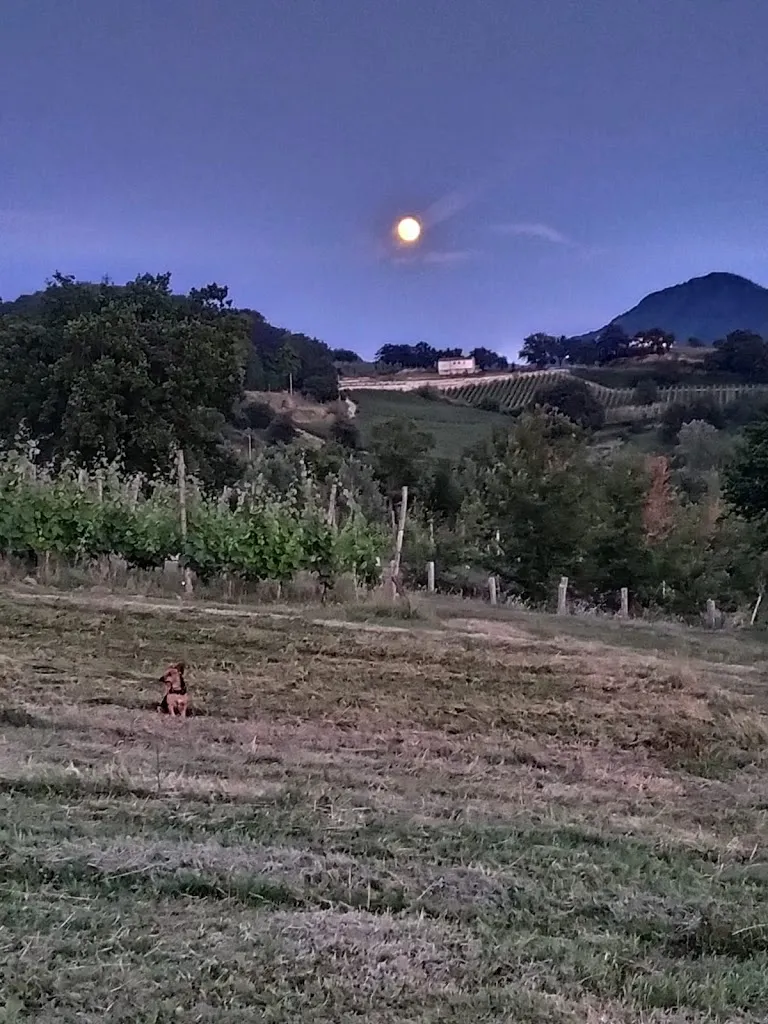 Tenuta del Savonisco_Picinisco_slider_image_3