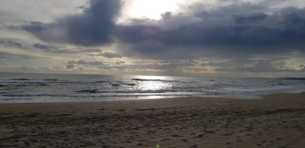 Wojciech Koszut_Green Beach | Spiaggia e cucina - Passoscuro_Passoscuro_review