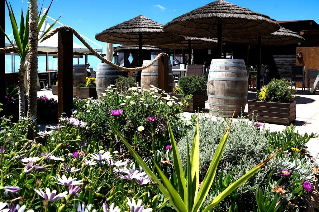 Il Pirata restaurant in Passoscuro