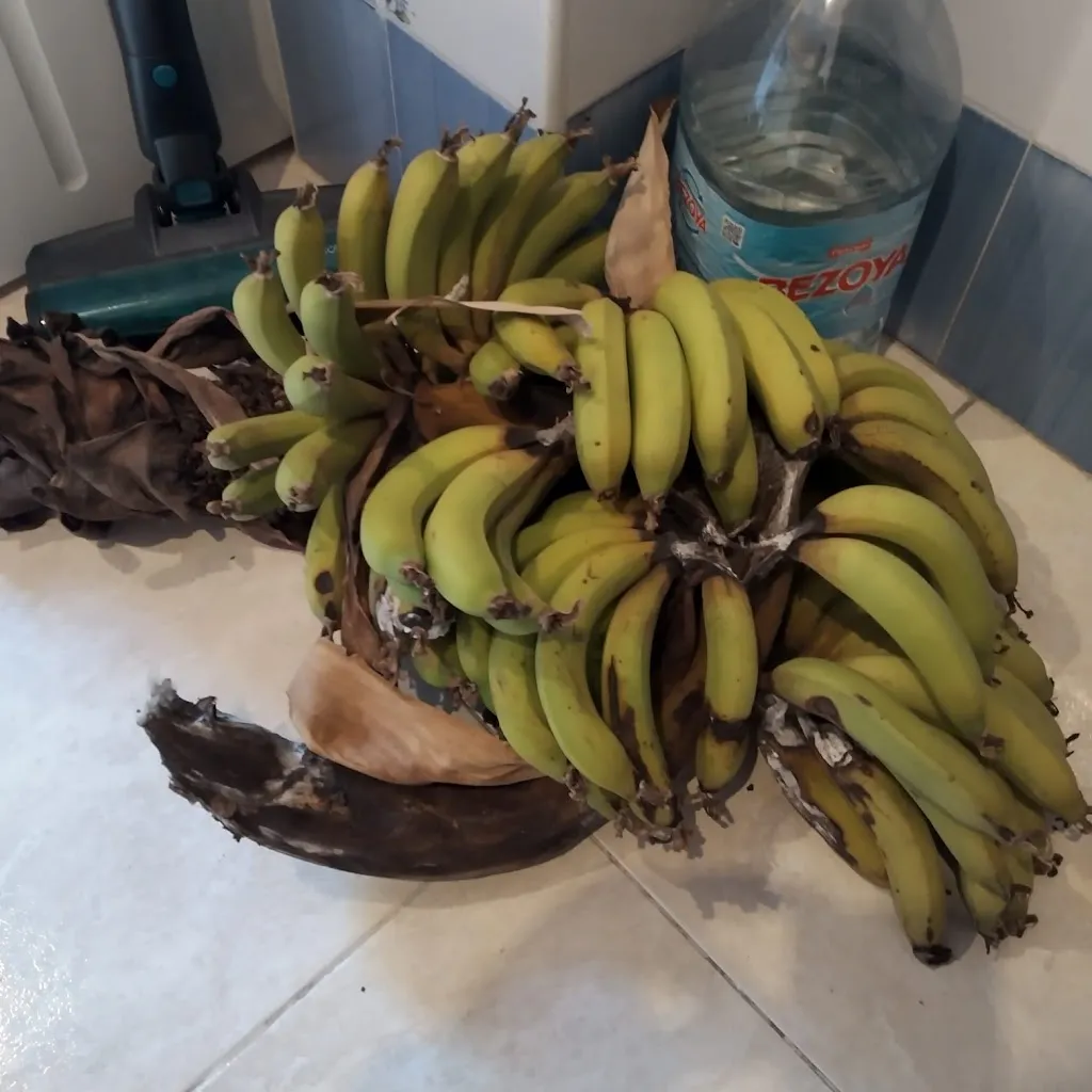 Menu_Passoscuro_Passoscuro_image_4