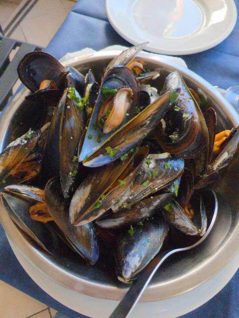 Menu_Pizzeria Ristorante Il Gabbiano_Passoscuro_immagine_2