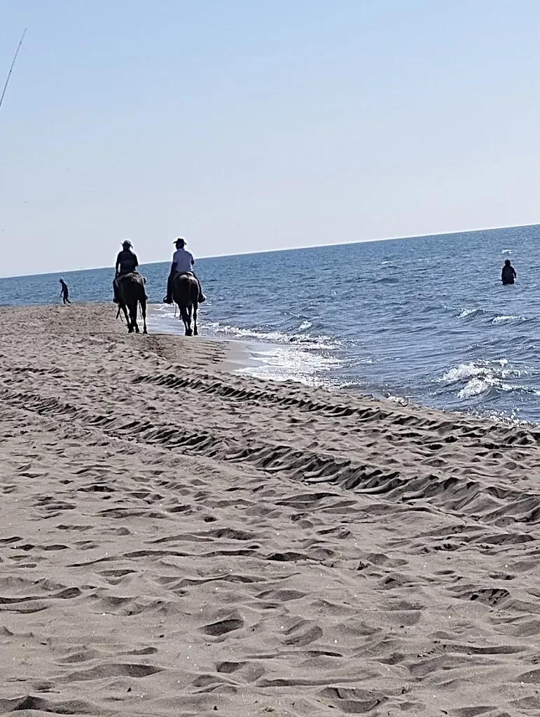 Brasilia Passoscuro_Passoscuro_slider_image_3