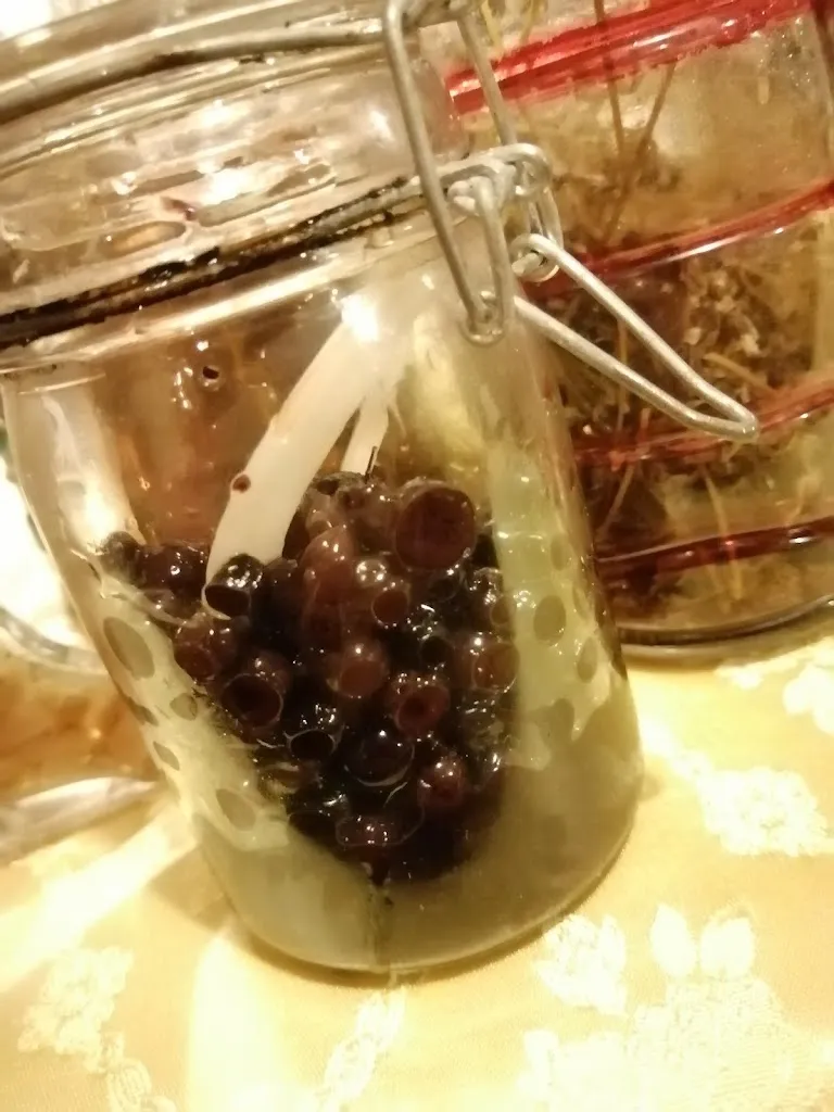 Menu_Ristorante Lo Djassi Nuova Gestione_Challand-Saint-Victor_image_6