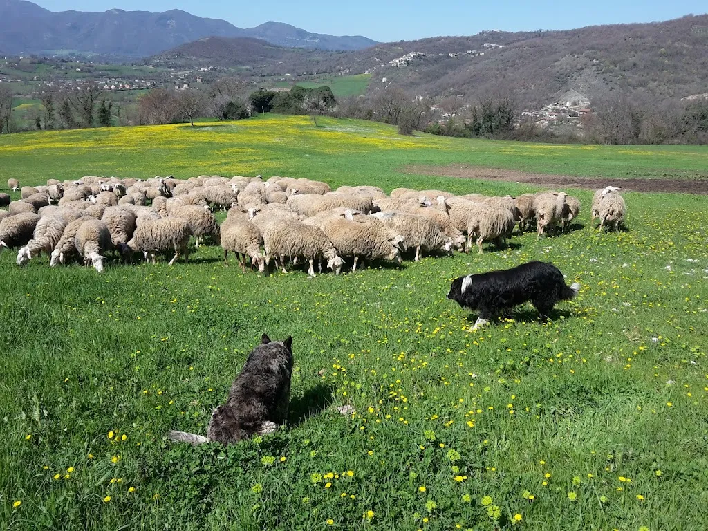 Festa della Tosatura e Artigianato_Poggio Bustone_slider_image_2
