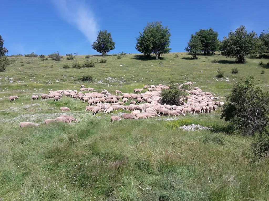 Festa della Tosatura e Artigianato_Poggio Bustone_slider_image_3
