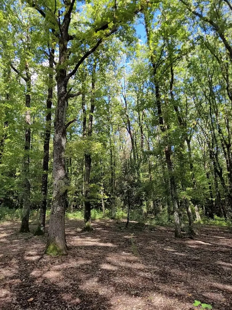 Luigi “LVX”_Cisterna_Poggio Catino_recensione