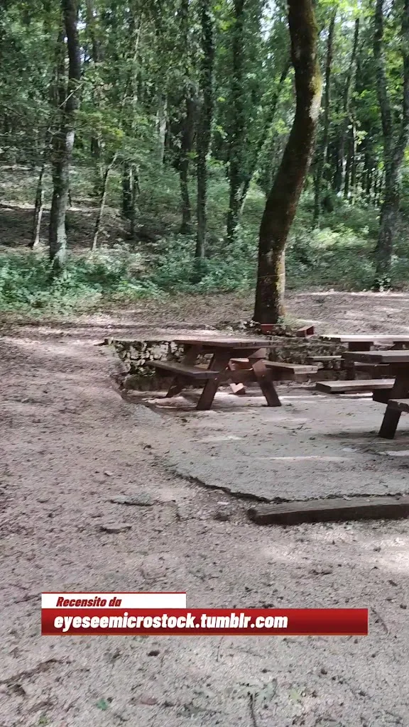 Cisterna_Poggio Catino_slider_image_2