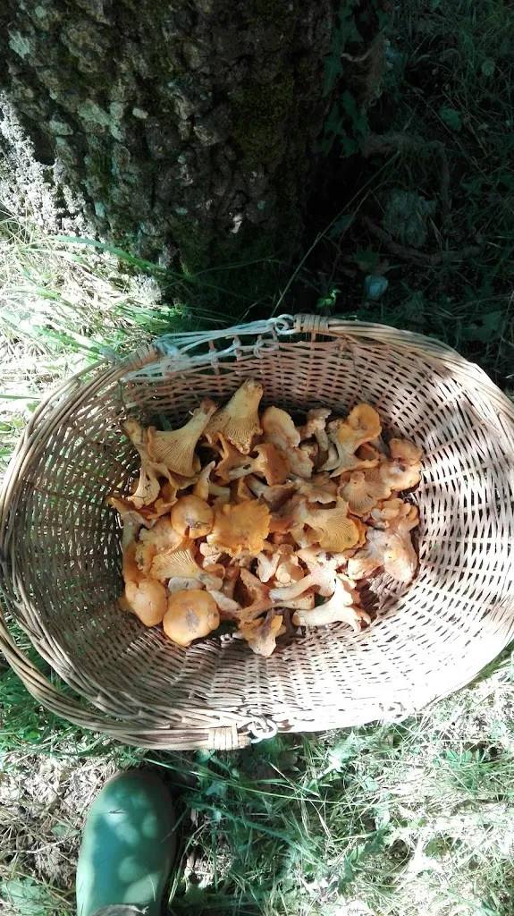 Menu_Il Palazzaccio_Poggio Moiano_image_6