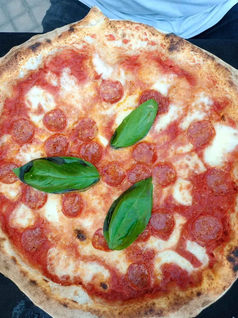 Sylvie Di Manna_Arya_Pontecorvo_review