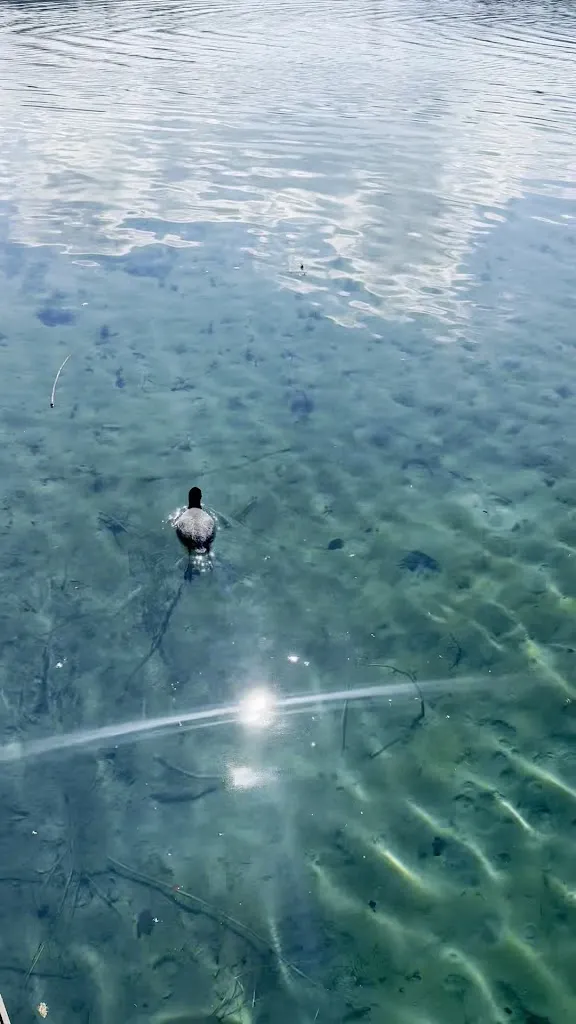 Piera D'Aiello_Ristorante Bar 