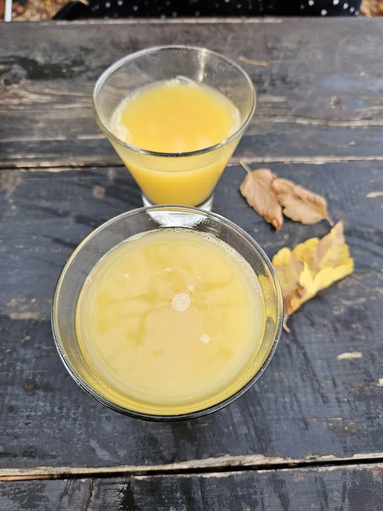 Menu_Elfo del Lago_Posta Fibreno_image_5