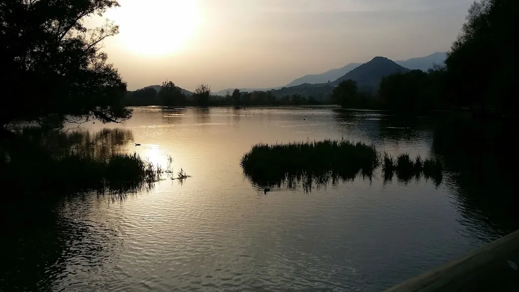 Gino Forte_Elfo del Lago_Posta Fibreno_review