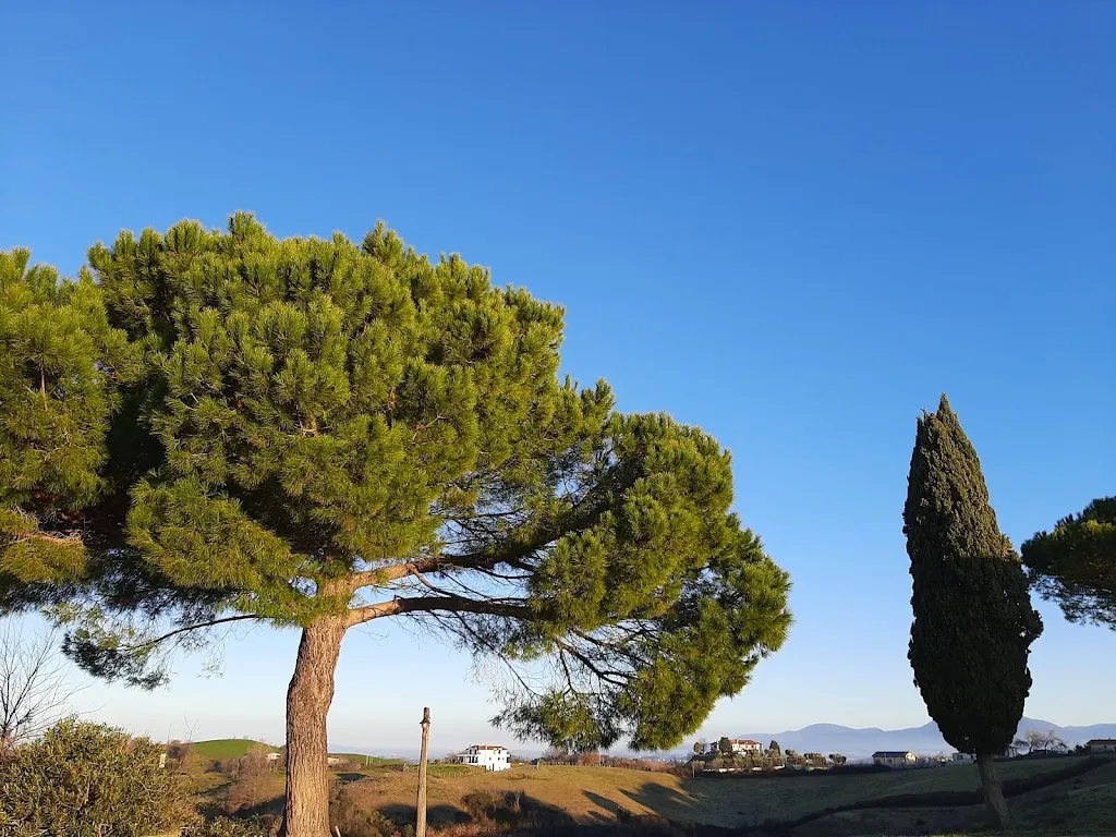 Restaurant @ Agriturismo Le Mandriacce_Ponzano Romano_slider_image_2