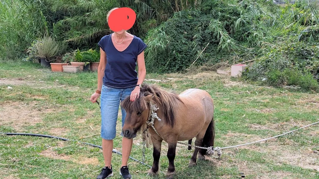 sauro bosi_Dar... Conte_Ponzano Romano_review