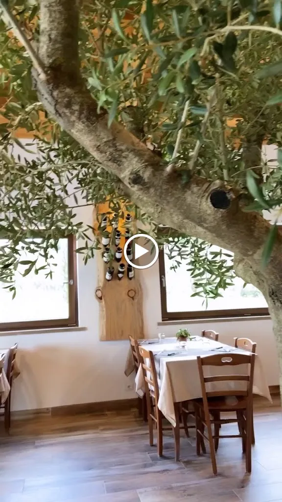 Farmhouse La Fattoria_Provincia di Viterbo_slider_image_2