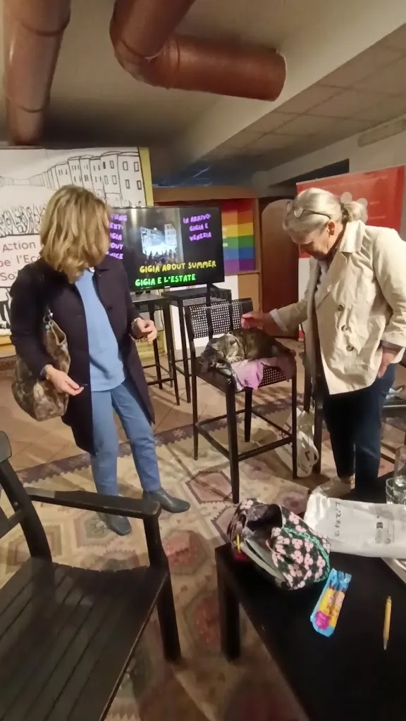 Gigia TravelCat_The Three Doors_Rieti_review