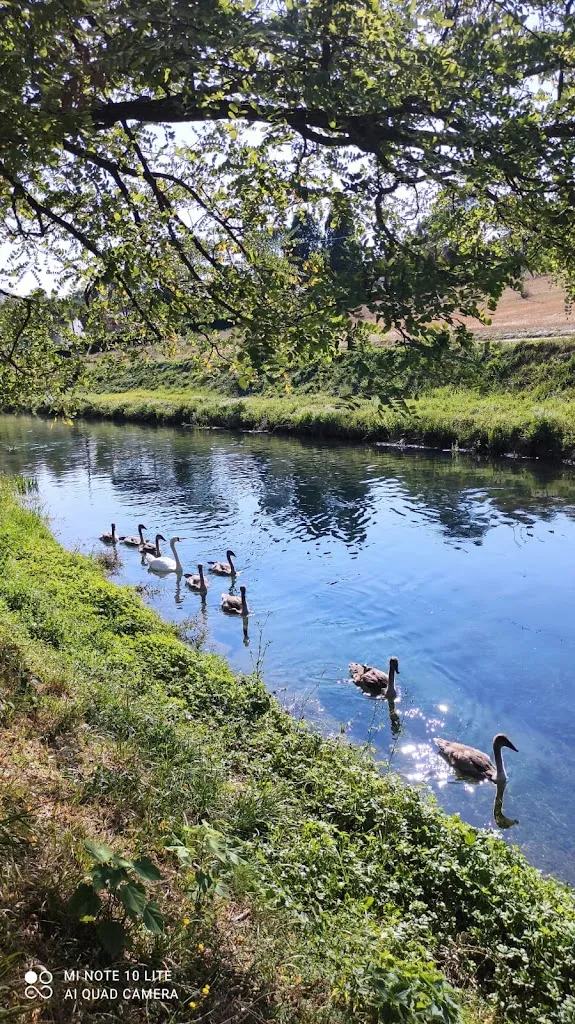 kilmer x_Hostaria ACQUACHIARA_Rivodutri_review