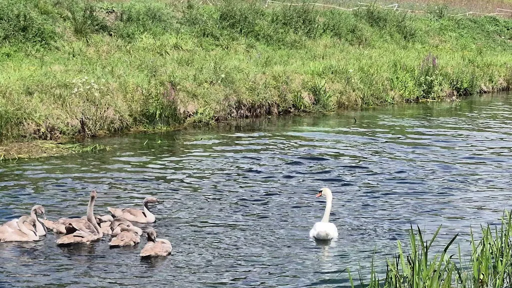 Valerio_Hostaria ACQUACHIARA_Rivodutri_review