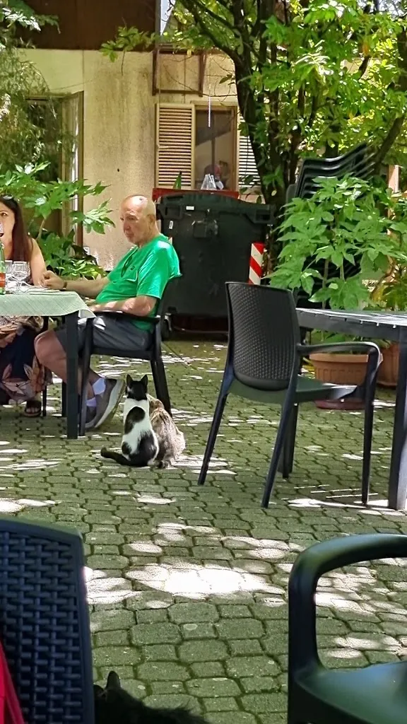 Dario e Giuseppina Trattoria - bar_Rocca di Cave_slider_image_2