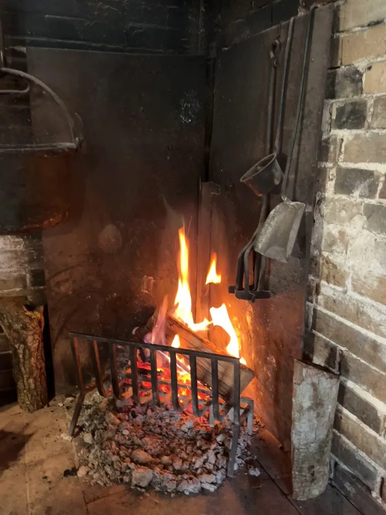 dafina balaj_Ristorante La Locanda nel Bosco_Rocca di Papa_review