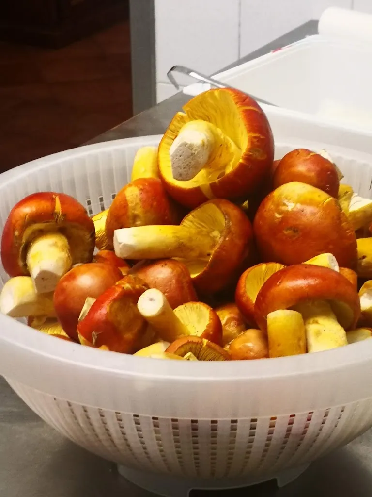 Menu_Locanda Pinocchio_Rocca Massima_image_8