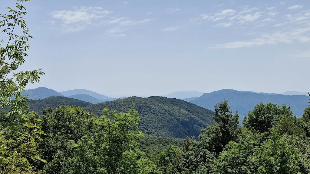 Vincenzo Brutti_Il Castagneto_Roccagiovine_review