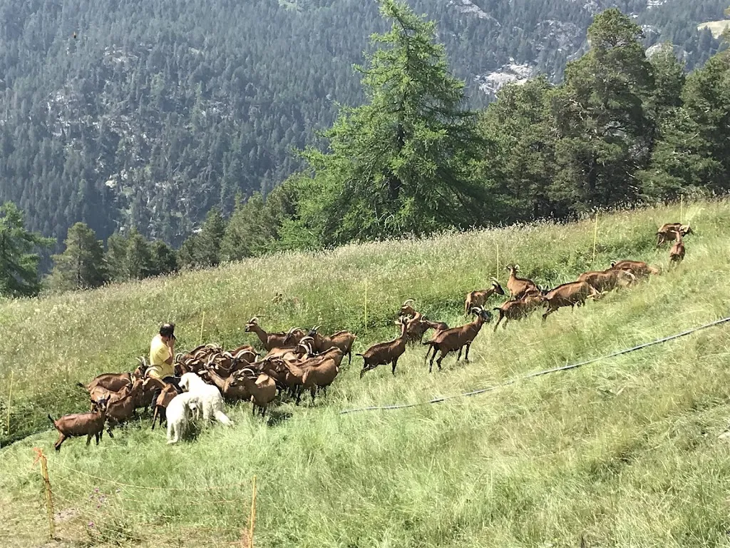 La Vallée Blanche_Champdepraz_slider_image_3
