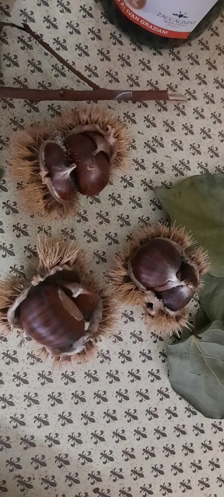 Menu_La Fonte_Roccagiovine_image_8