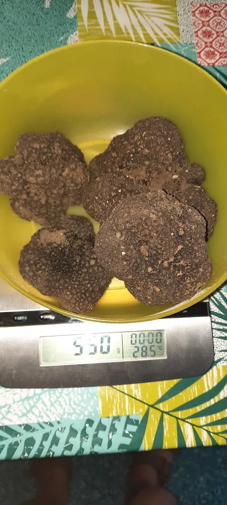 Menu_Vecce A Trova_Sambuci_image_9