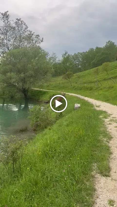 Il Chiosco_San Biagio Saracinisco_slider_image_2