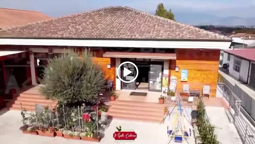 Bar Il Gallo Cedrone_San Giorgio a Liri_slider_image_2