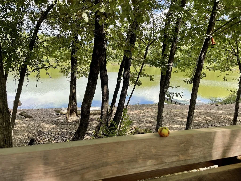 Diana Sarnella_PUNTOLAGO Ristorante,Pinseria,Braceria,sosta camper_San Giovanni Incarico_Bewertung