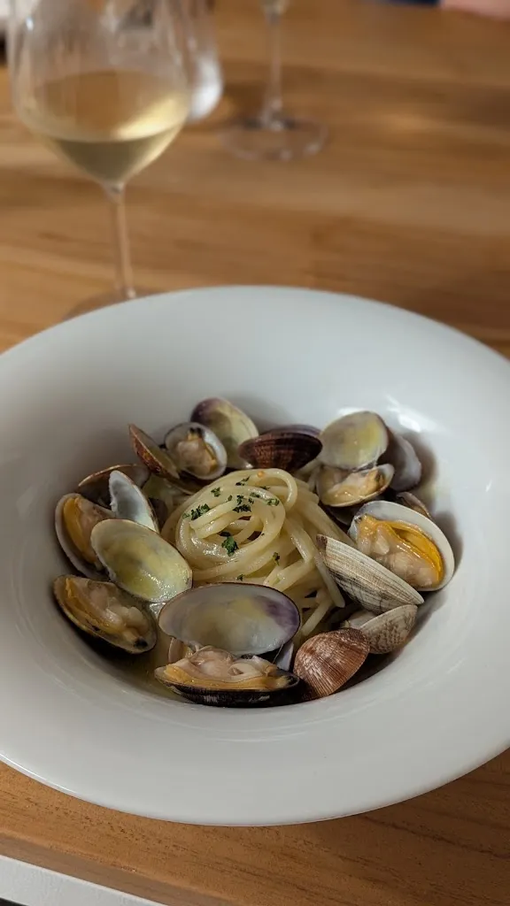 Simone Manardi_Genesi_Sabaudia_review