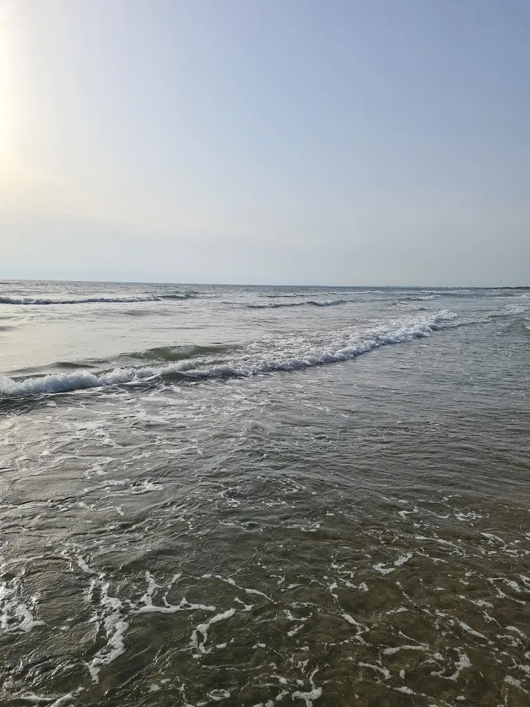 Marjun Multhe Mouritzen_La Bufalara_Sabaudia_review