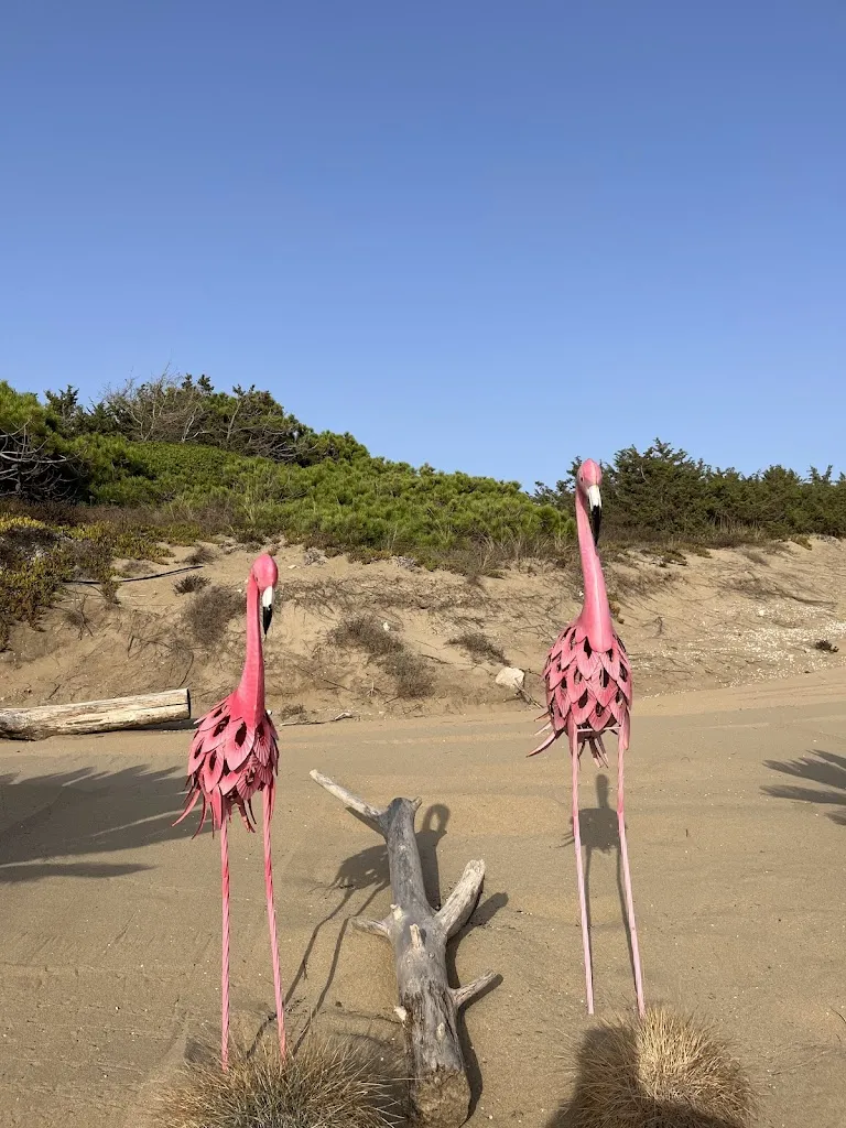 Marta C._Alma Beach/Spiaggia_Sabaudia_recensione