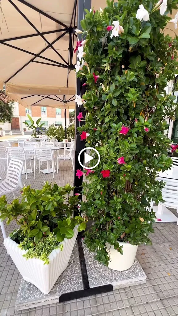 Pizzeria Al Cigno 2_Sabaudia_slider_image_2