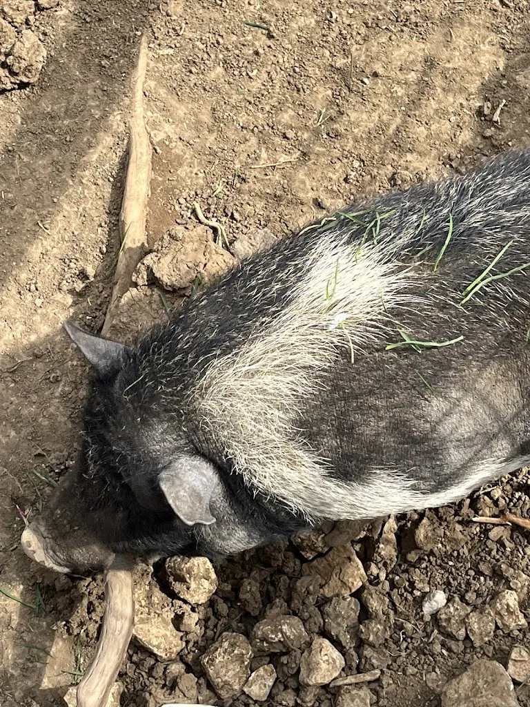 Mikkela T_Agriturismo Antica Posta_San Gregorio da Sassola_review