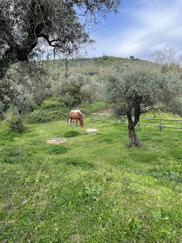Agriturismo Antica Posta_San Gregorio da Sassola_slider_image_3