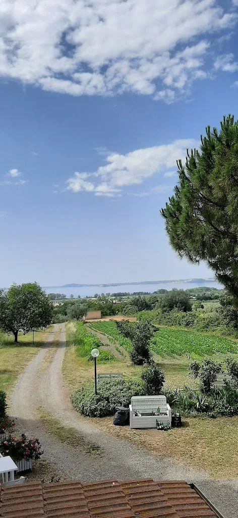 Ristorante la Palombara_San Lorenzo Nuovo_slider_image_3