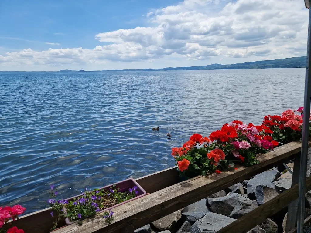 Norman T._Da Peppe Il Pescatore s. a. s. Di Puri Sante & C. _San Lorenzo Nuovo_review