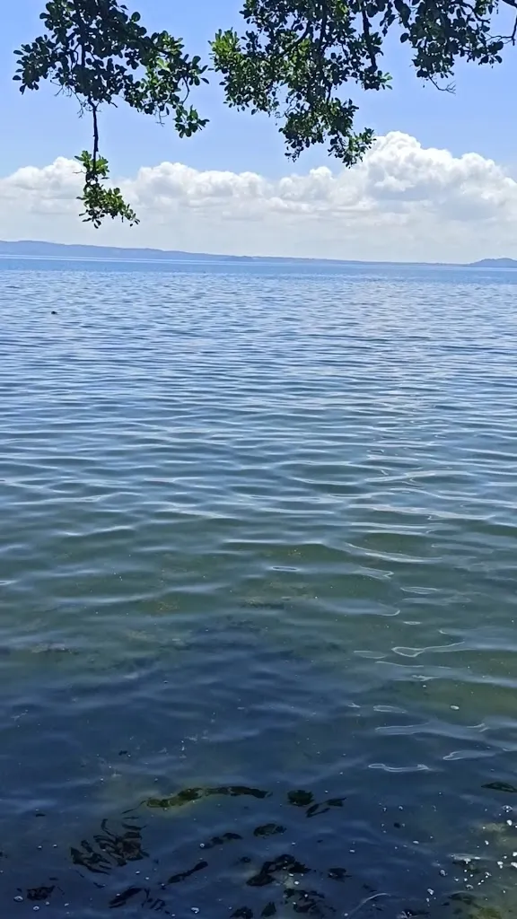 Cristina Jomir_Da Peppe Il Pescatore s. a. s. Di Puri Sante & C. _San Lorenzo Nuovo_review