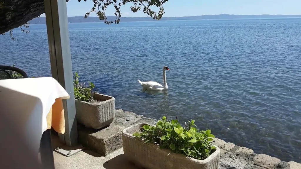 Stella sul Lago - Ristorante 