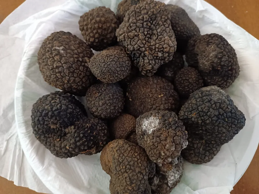 Menu_AGRITURISMO LA SORGENTE_San Vittore del Lazio_image_6