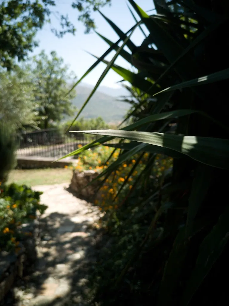 Nicola Messere_AGRITURISMO LA SORGENTE_San Vittore del Lazio_review