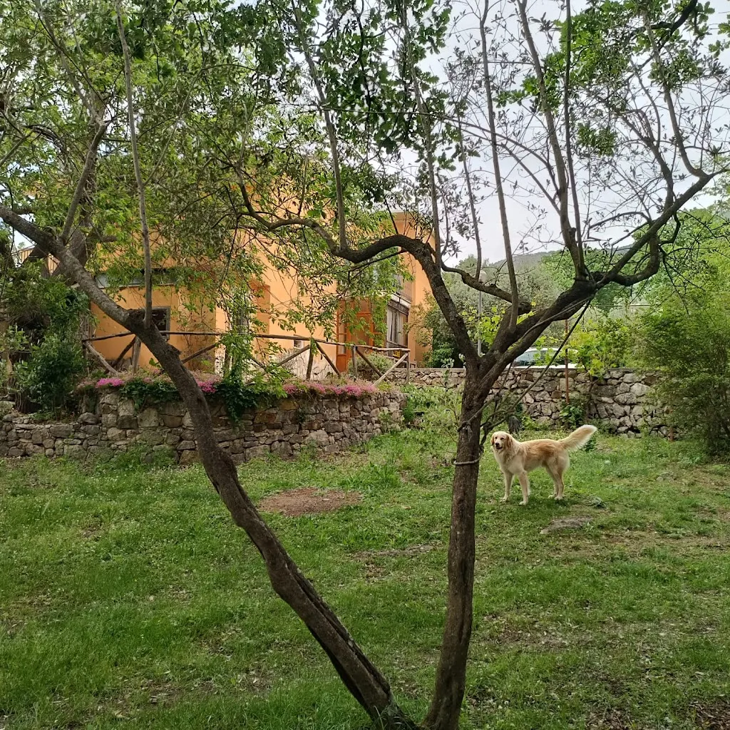 AGRITURISMO LA SORGENTE_San Vittore del Lazio_slider_image_3