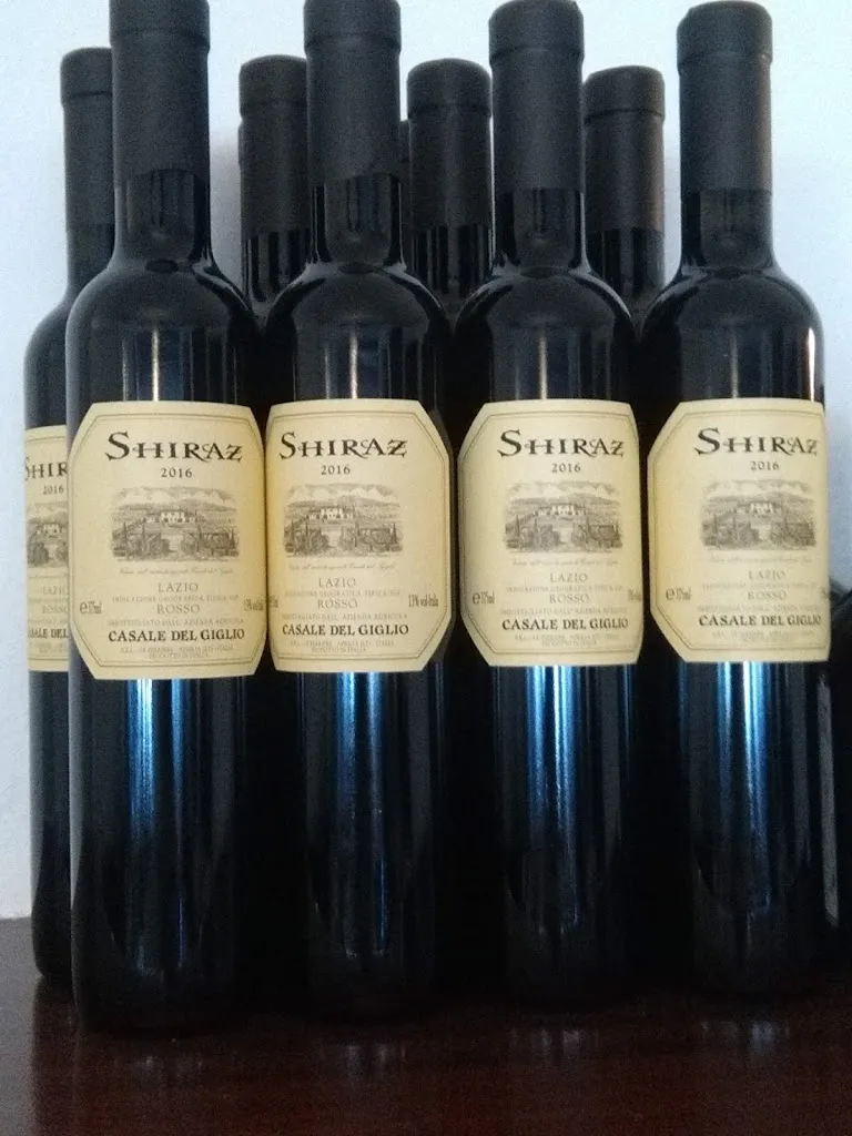 Menu_Ristorante Da Vincenzo sas di Antonio Budelli & C._San Felice Circeo_image_9